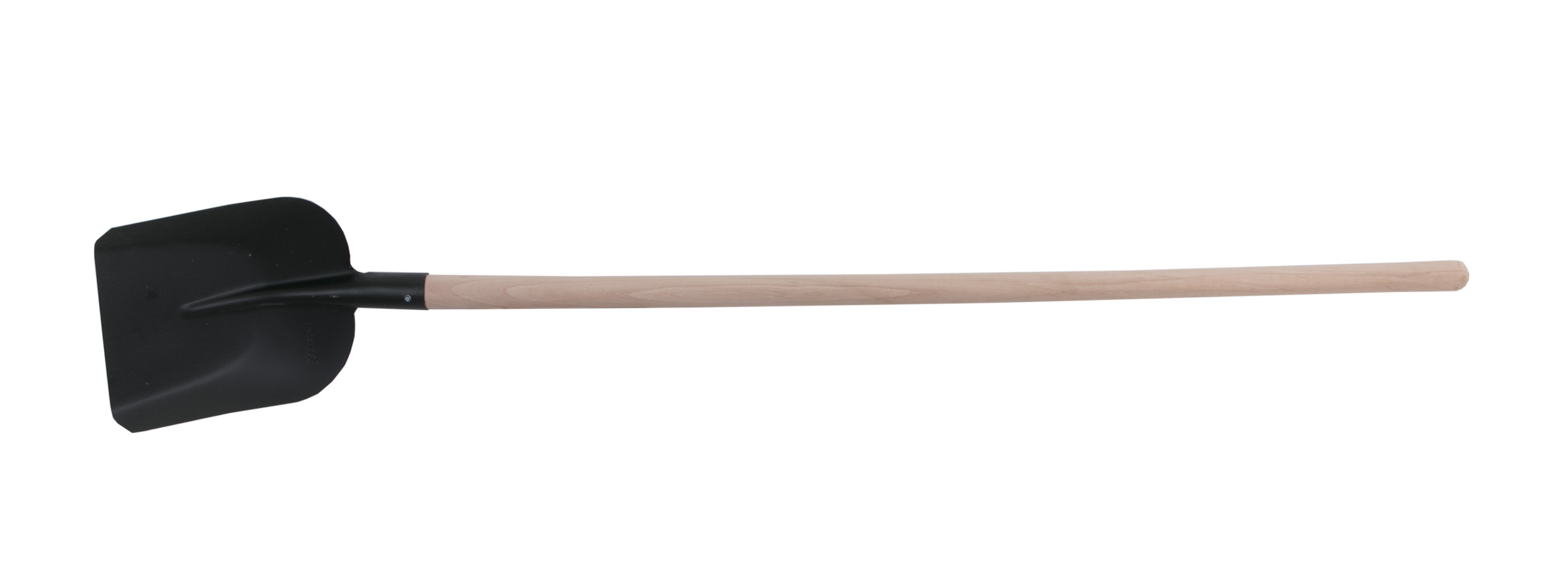 Levior_61090.jpg