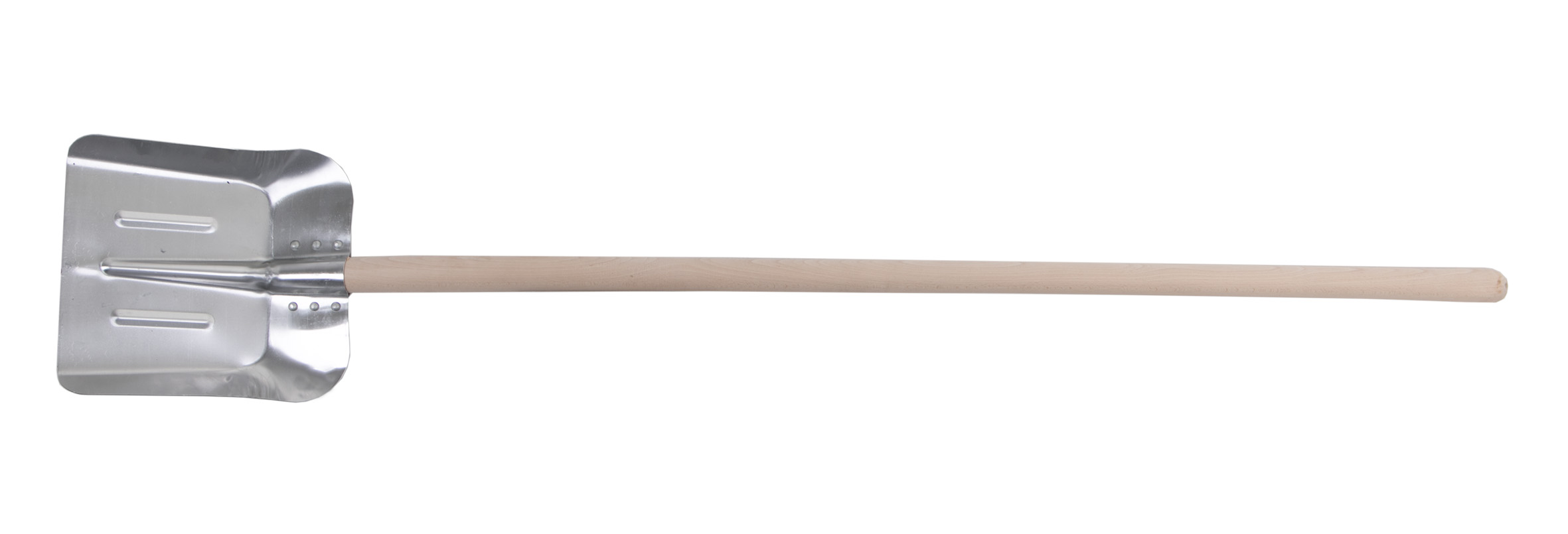 Levior_61056.jpg