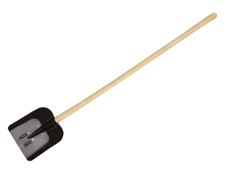 Levior_61089.jpg